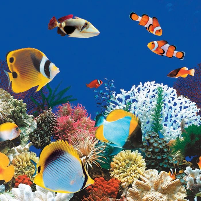 Swimline Overlap Pool Liner, 48-52 In Wall, 24 Ft Round, 25 Gauge, Caribbean - Image 2