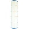 Pleatco PPCO100 Filter Cartridge, 1 Pack