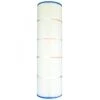 Pleatco PPCO100Q2 Filter Cartridge, 2 Pack