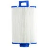 Pleatco PSANT20P4 Filter Cartridge