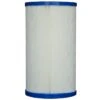 Pleatco PVT25N-XP4 Filter Cartridge